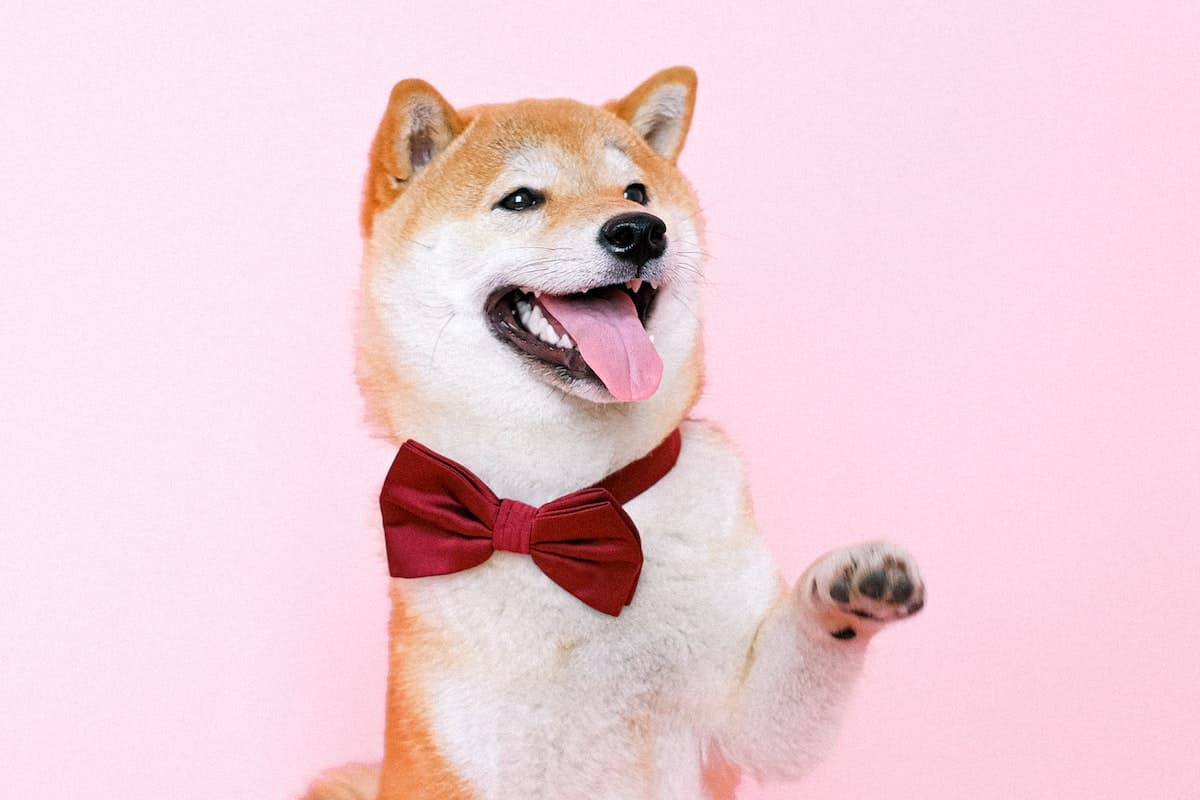 unha-cachorro.jpg